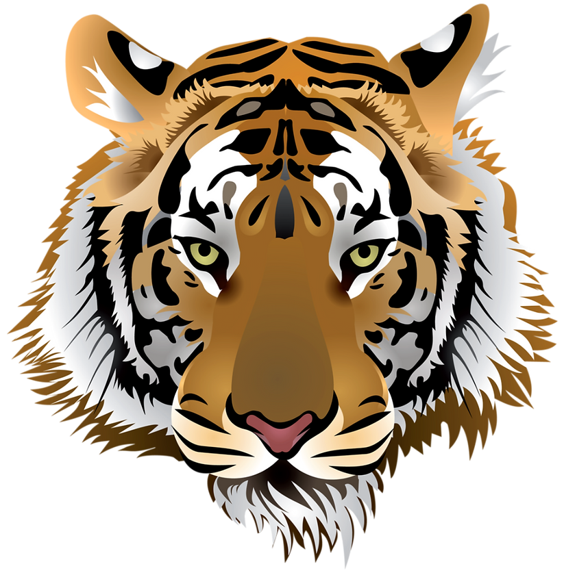 tiger_edited_edited_edited_edited_edited.png