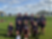 Girls rugby sponsorship supporting 5 Valleys Valkyries players