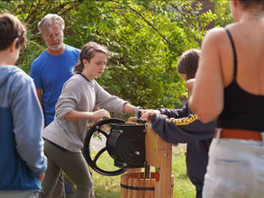 Michaelmas Preparations