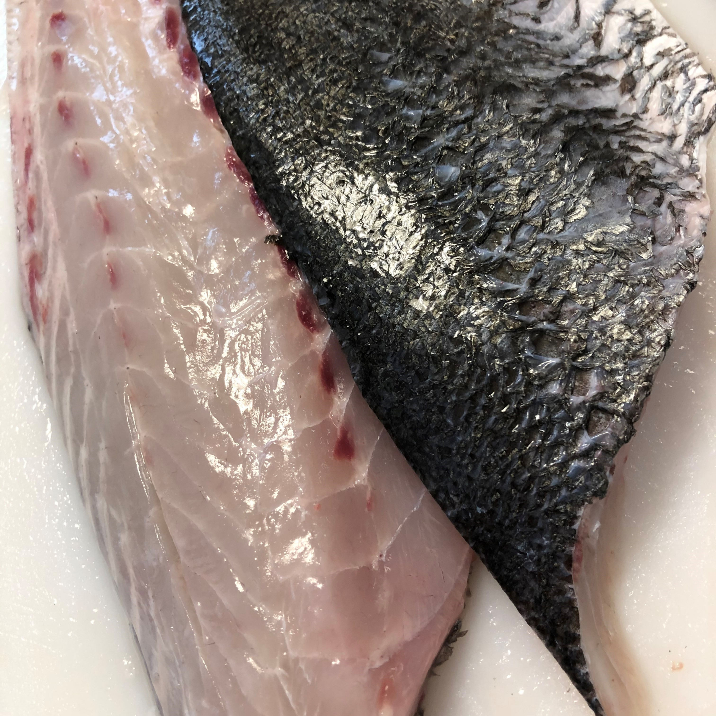 Frozen  Stone Bass Loin Portion 180-200g