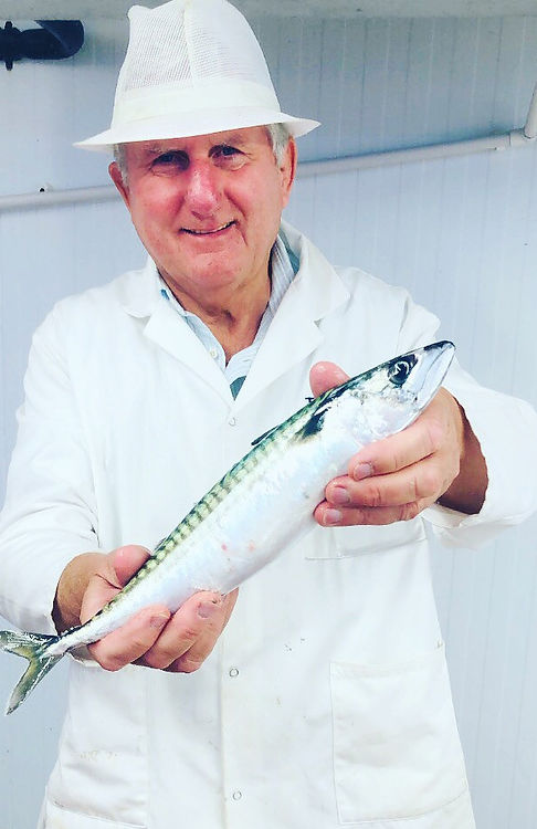 Matthew_StIves_Bay_Mackerel.jpg