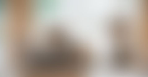 Tips & Trick mengobati berbagai penyakit pada kucing