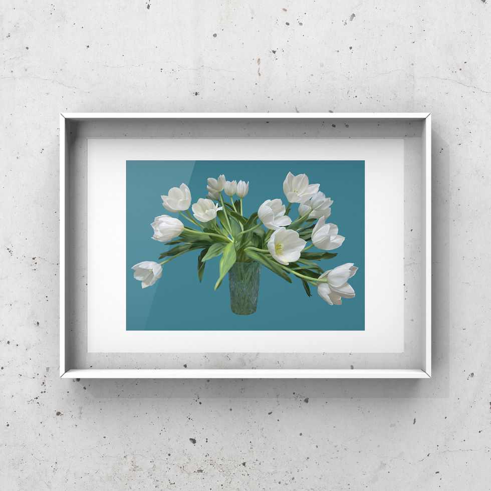 Mock up framed print of a digital oil pastel painting of a bunch of white spring tulips and tulip leaves in a crystal glass vase on a deep turquoise background.