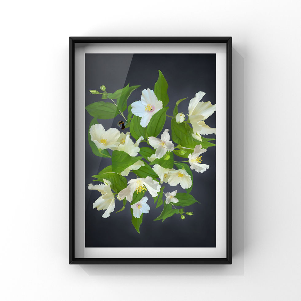 A digital pastel drawing of branches of cream and white philadelphus with bumble bees. Created on a dark stormy grey background.