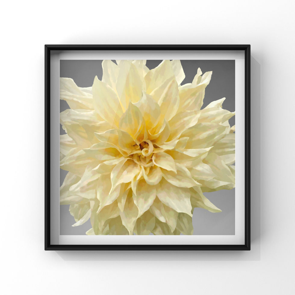 Mock up framed print of a digital watercolour painting of a luminous cream Cafe au Late Dahlia on a background of a grey gradient.