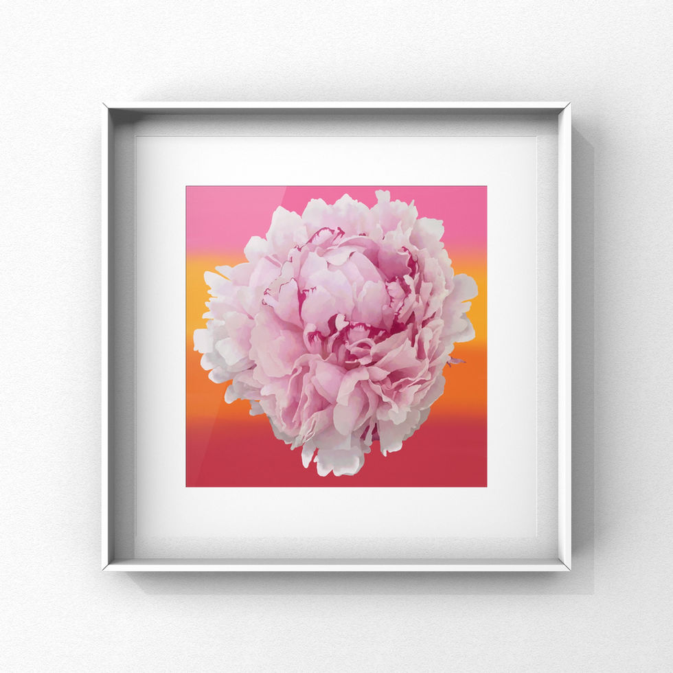 A large pale pink peony painted in watercolour on a gradient background of red, orange, yellow and pink.
