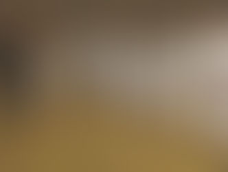 Bletchley and Bedford Area Gradings - December 2009