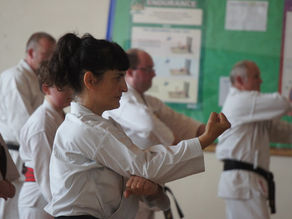 Elena Floris Kata and Bunkai Course - July 2016