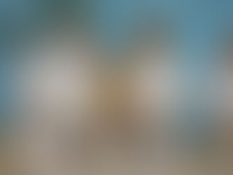 Harada Sensei Shotokai Course - February 2015