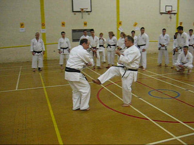 Sensei Randall (M.B.E.) Course - 2006