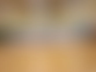 Shihan Holmes Course - November 2015