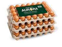 bandeja grande.png