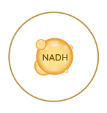 naph.png
