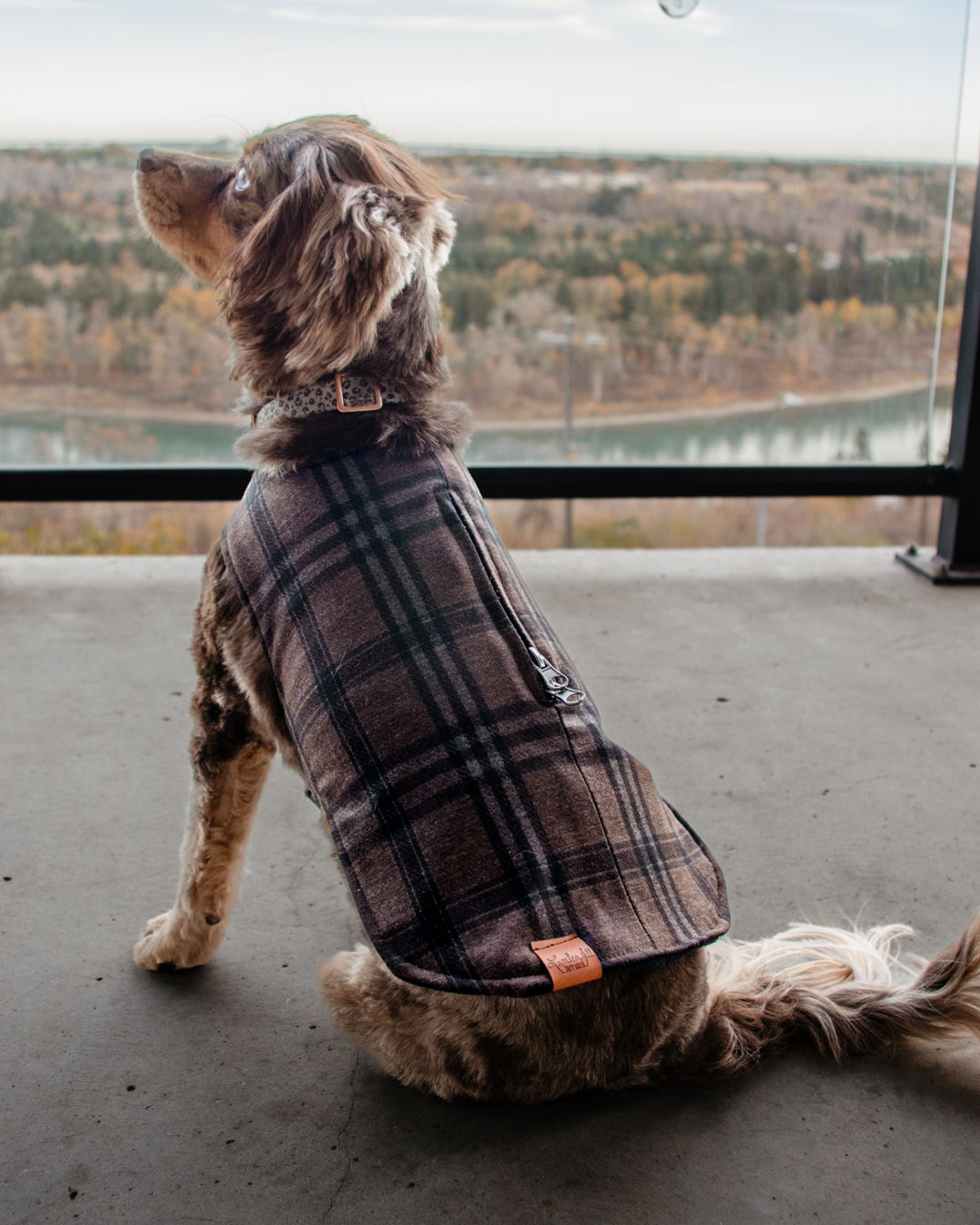 Soft Knit LumberPup Wrap