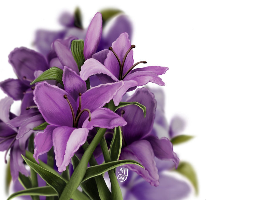 Purple Lily
