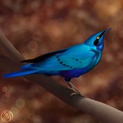 digital painting of a greater blue-eared starling bird