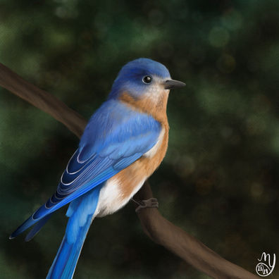 digital painting of a bluebird bird