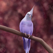 digital painting of a cockatiel bird with lavender coloring