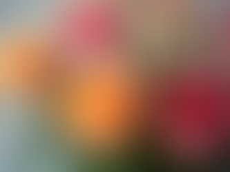 Discover Perfect Flower Combos for Gifting