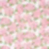 5013811.webp