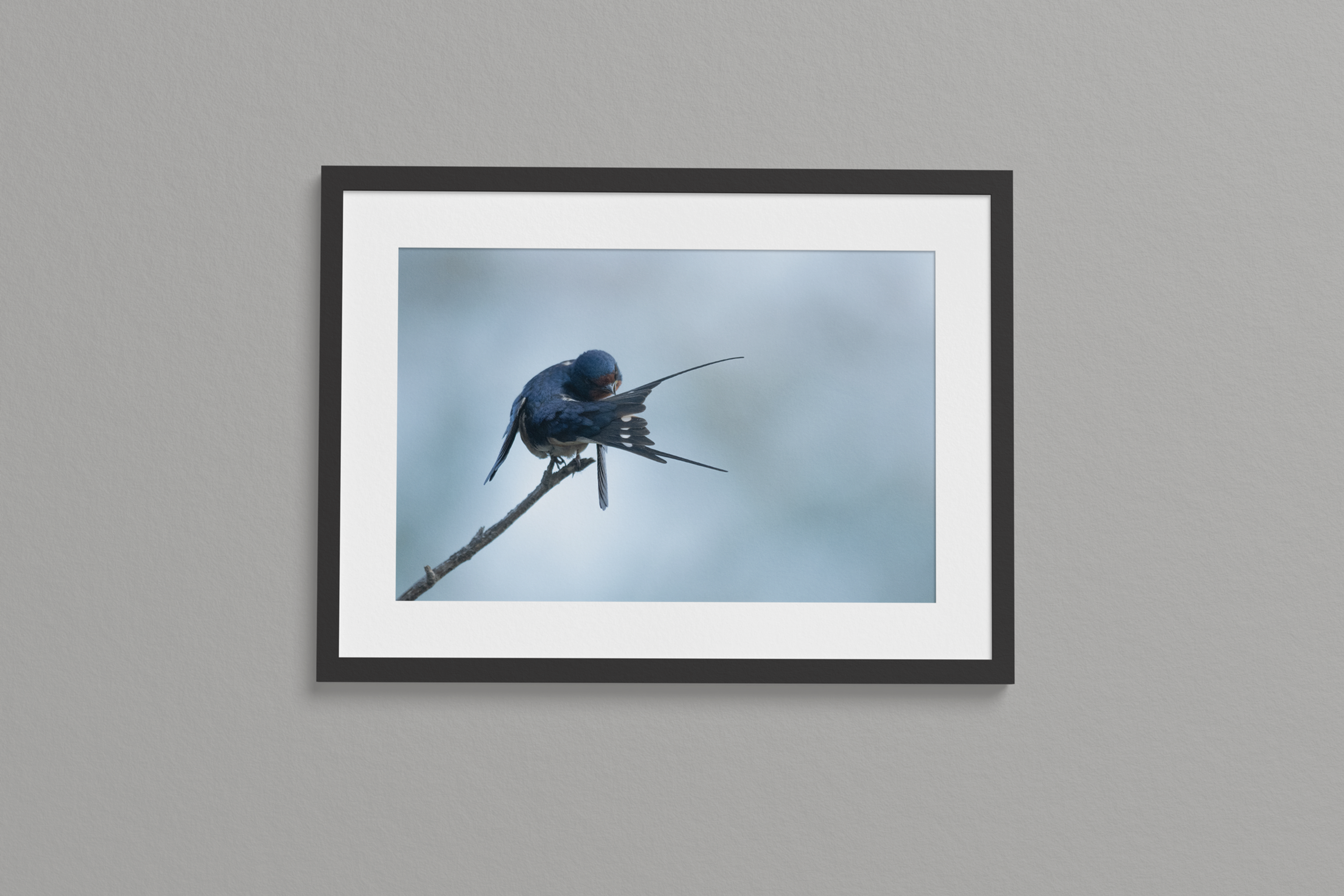 Avant le grand départ