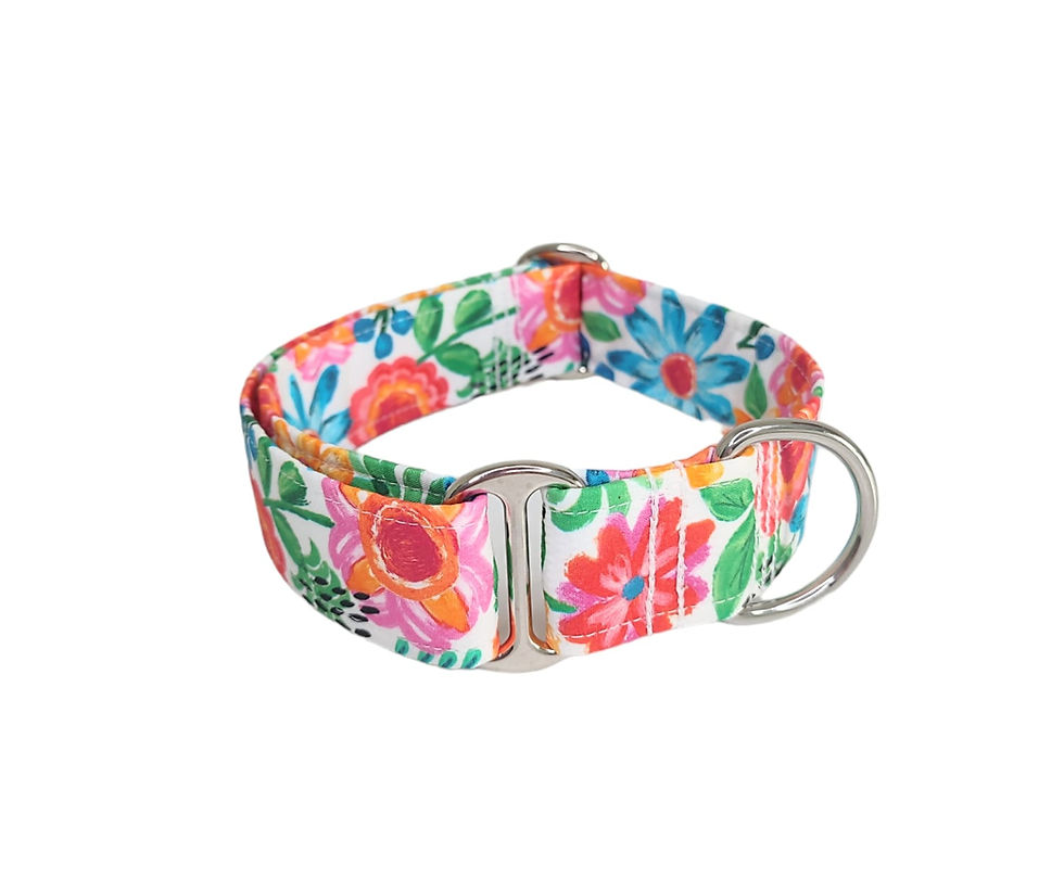 Miniatura: COLLAR SIN CIERRE