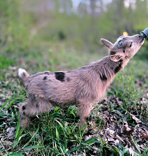 20260407_192836.jpg
