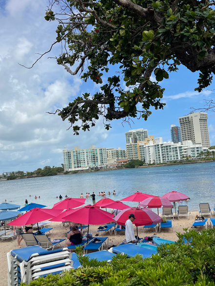 Want oceanfront? Feel the breeze with San Juan Realty Advisors by letting them help you buy or sell your home, condo or property in Puerto Rico. English and Spanish services available.
