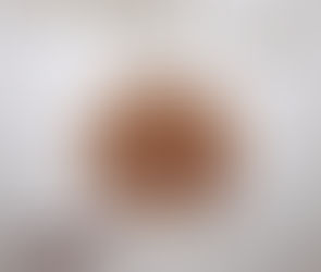 Our Lady of Mount Carmel Craft {Liturgical Ornament}