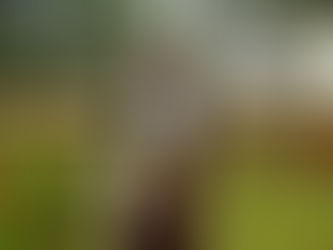 St. Clare of Assisi Costume