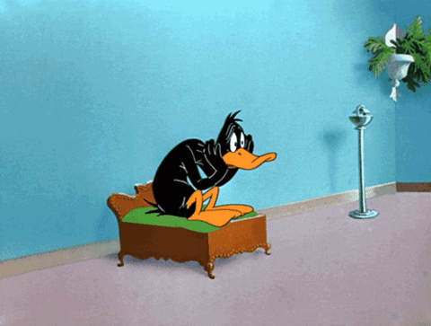 kaczor-rys-gif.gif