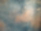 IMG_6558.jpeg