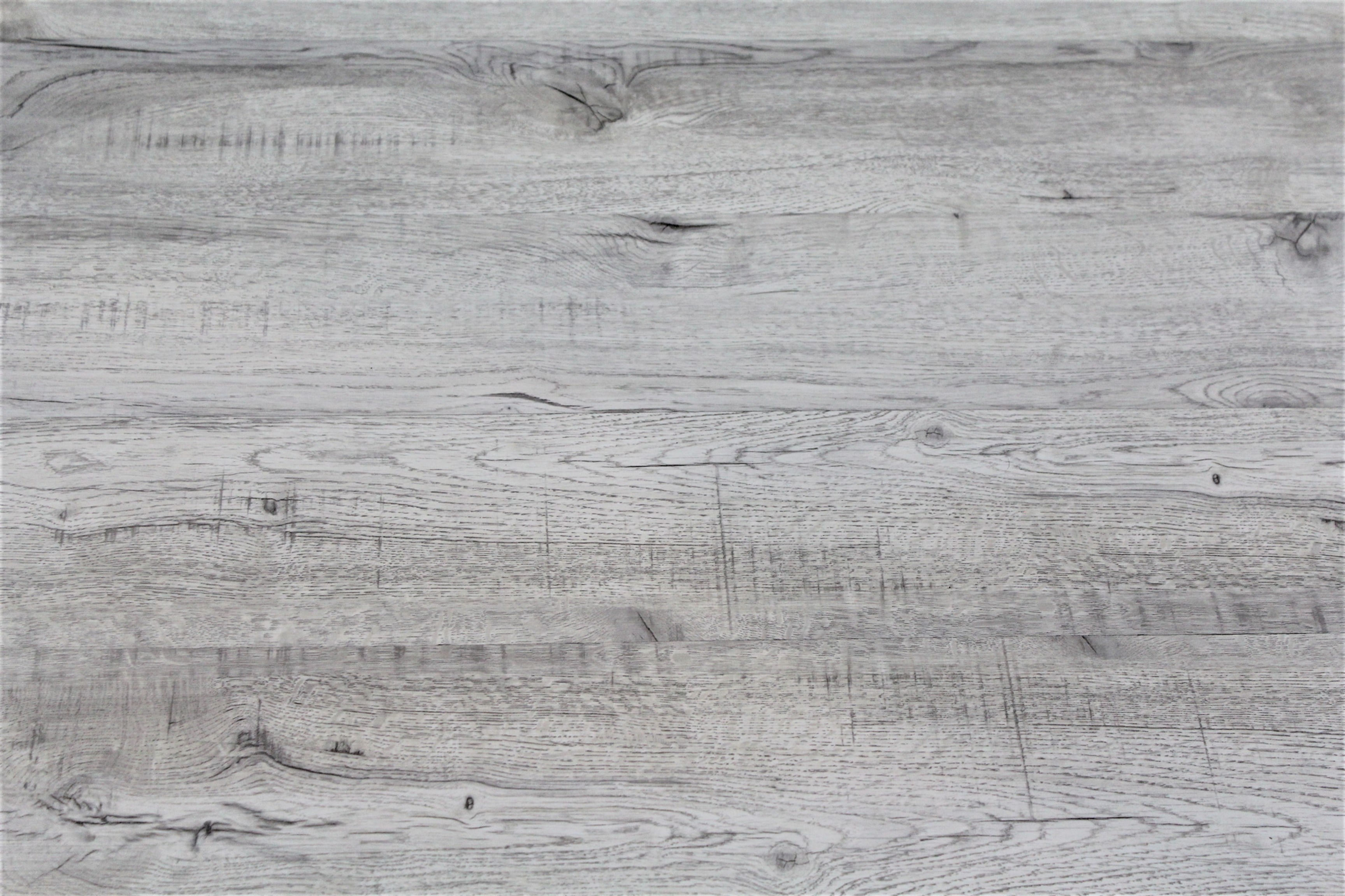 Sea Lion Vinyl Plank