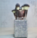 Untitled design (8).png