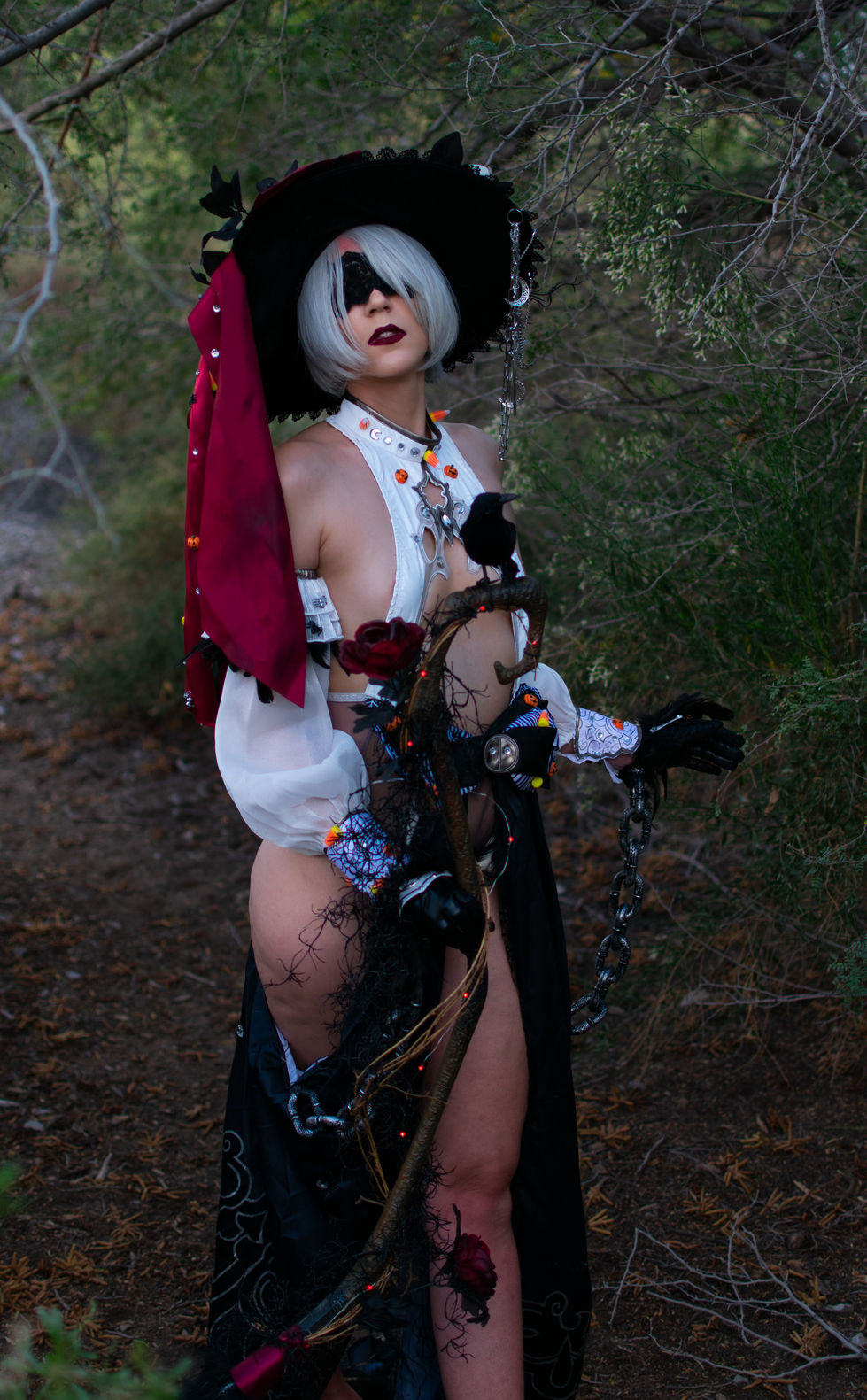 20241019-20241019-DSC_0242