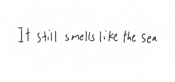 scroll text 15.png