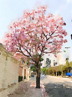 Flowery Tree