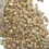 Hình thu nhỏ: Robusta sàng 16/Unwashed Robusta grade 1 screen 16