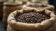 Khám phá vietlecoffee buôn ma thuột