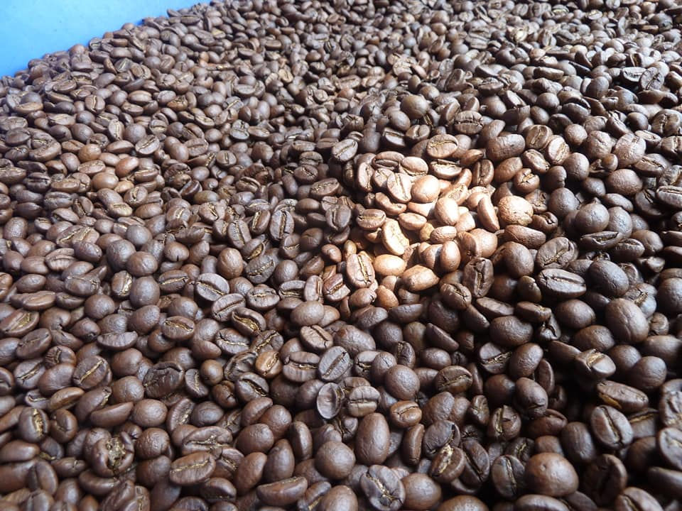 Hình thu nhỏ: Arabica nguyên chất rang mộc - Cà phê Arabica rang nguyên chất