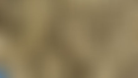 Arabica Cầu đất Honey vụ mới 2020-2021