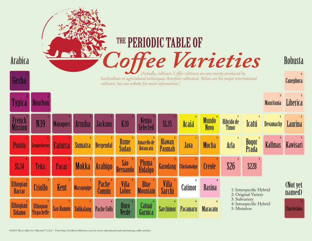 Coffee Family Tree Các giống cà phê trên thế giới