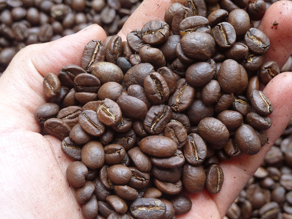 Thumbnail: Cà phê Arabica MOKA rang nguyên hạt (Moka Cầu Đất)-VNĐ/kg