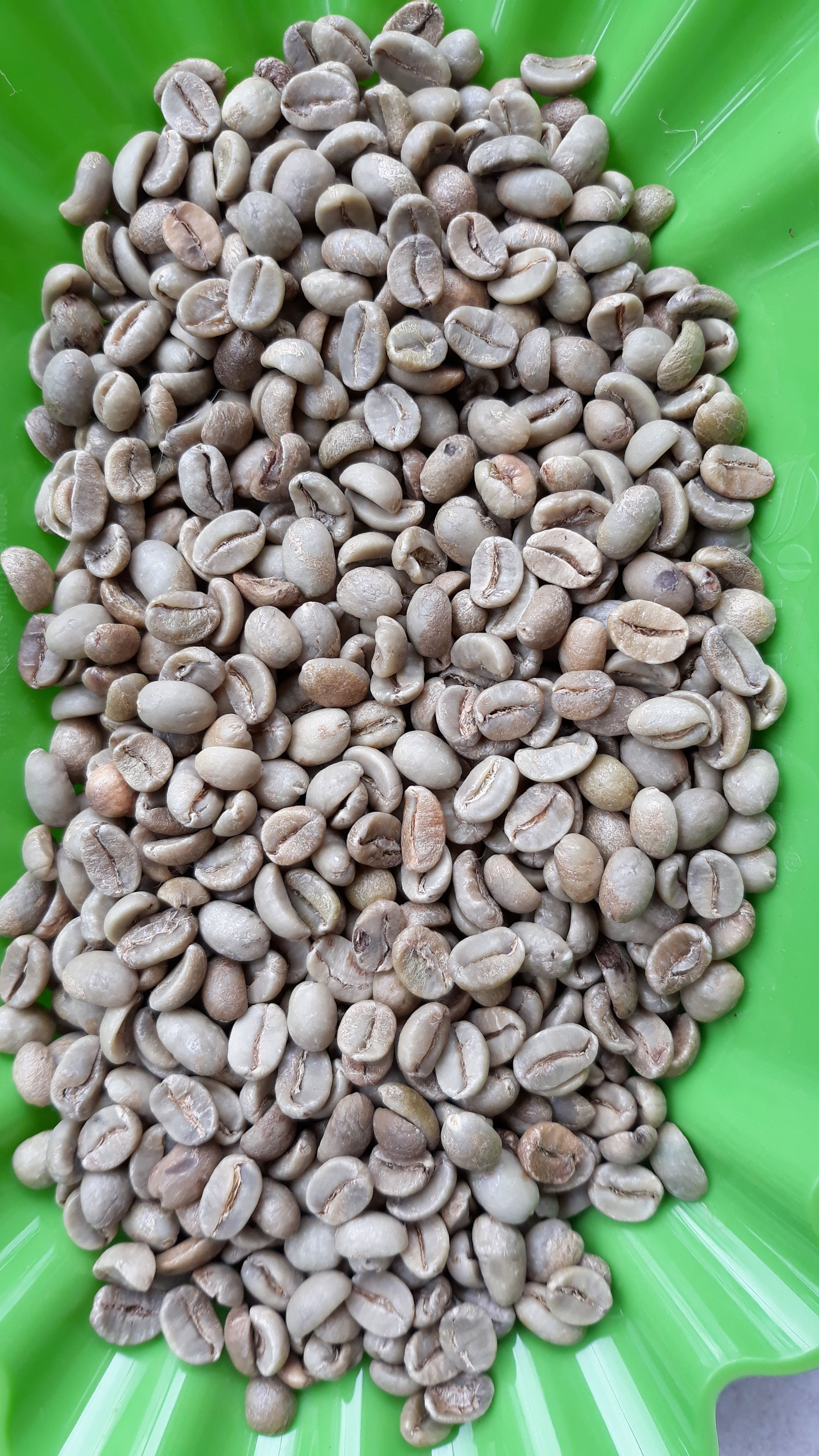 Arabica loại 1 Sàng 16 