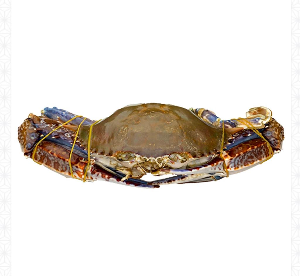 African crabs