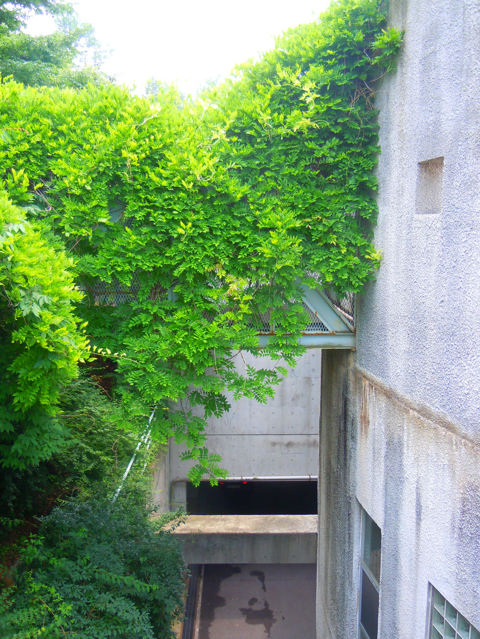 DSCN3297.JPG