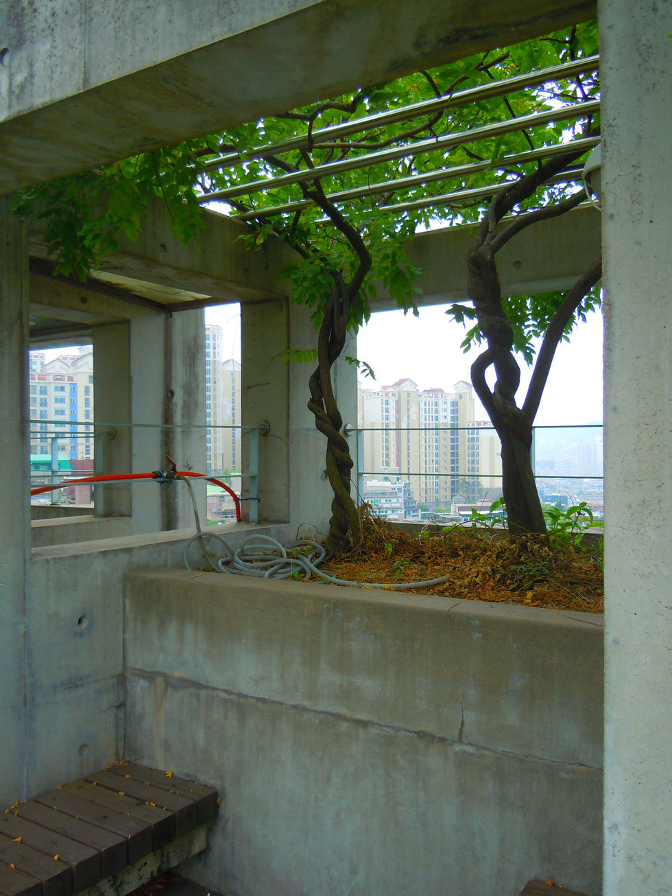 DSCN3300.JPG