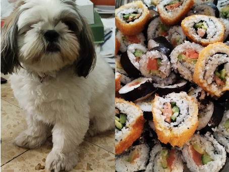 כלום לא מובן מאליו