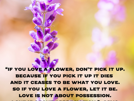 שאלת השאלות: מהי אהבה