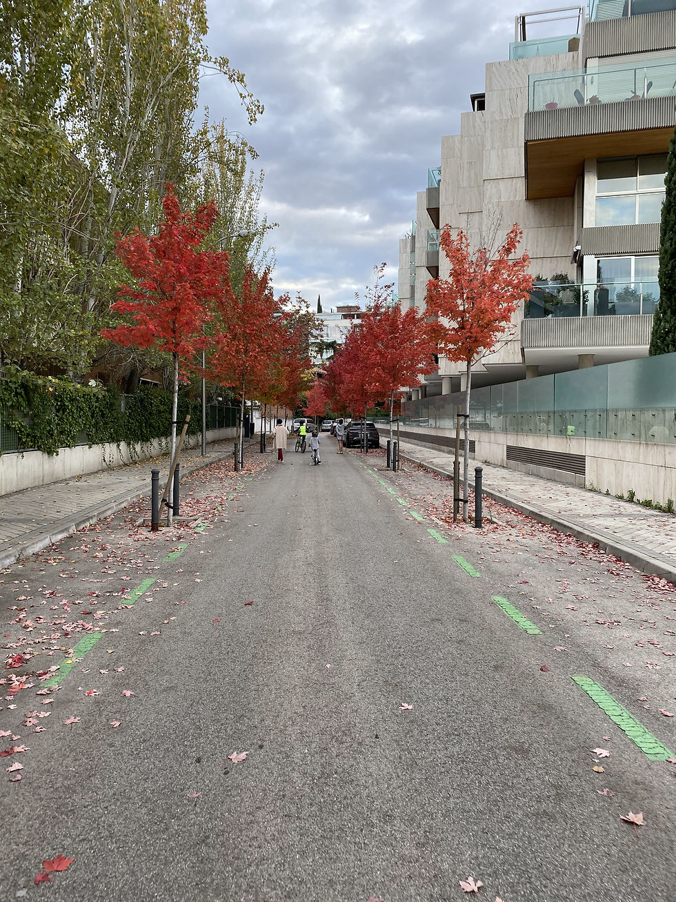 Otoño en Madrid